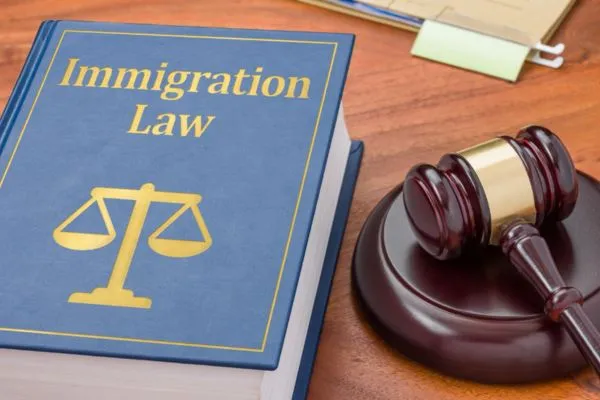 Immigration Attorney